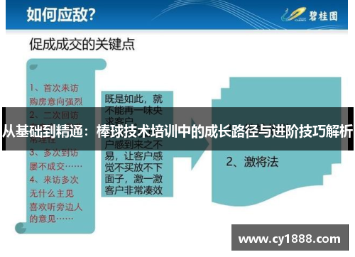 从基础到精通：棒球技术培训中的成长路径与进阶技巧解析