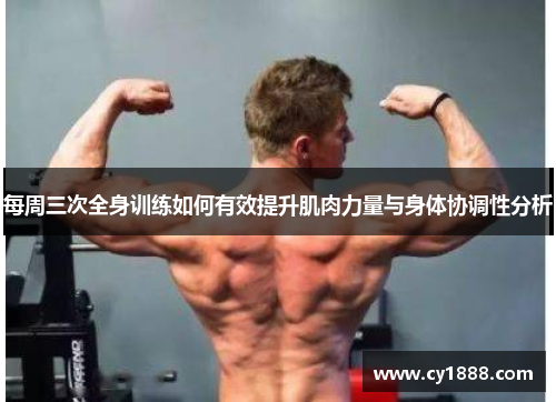 每周三次全身训练如何有效提升肌肉力量与身体协调性分析