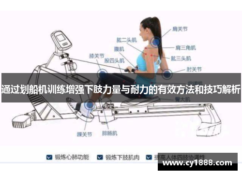 通过划船机训练增强下肢力量与耐力的有效方法和技巧解析