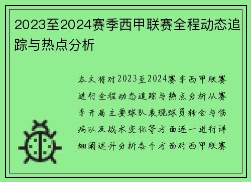 2023至2024赛季西甲联赛全程动态追踪与热点分析