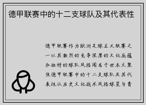 德甲联赛中的十二支球队及其代表性