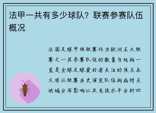 法甲一共有多少球队？联赛参赛队伍概况